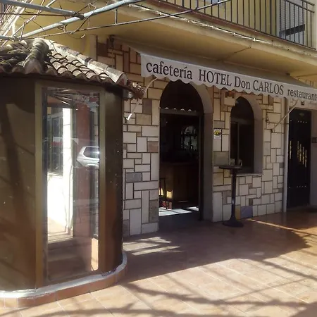 Hotel Don Carlos *